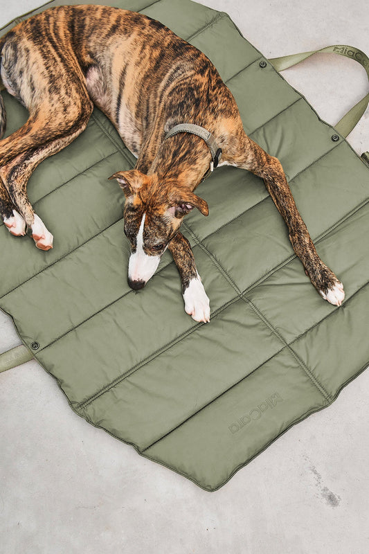 Strada Travel Dog Bed