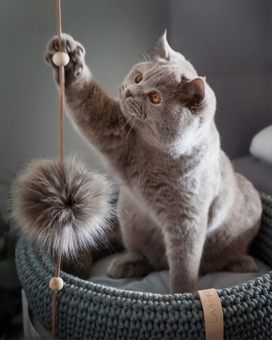 Cat Toy - Anthracite
