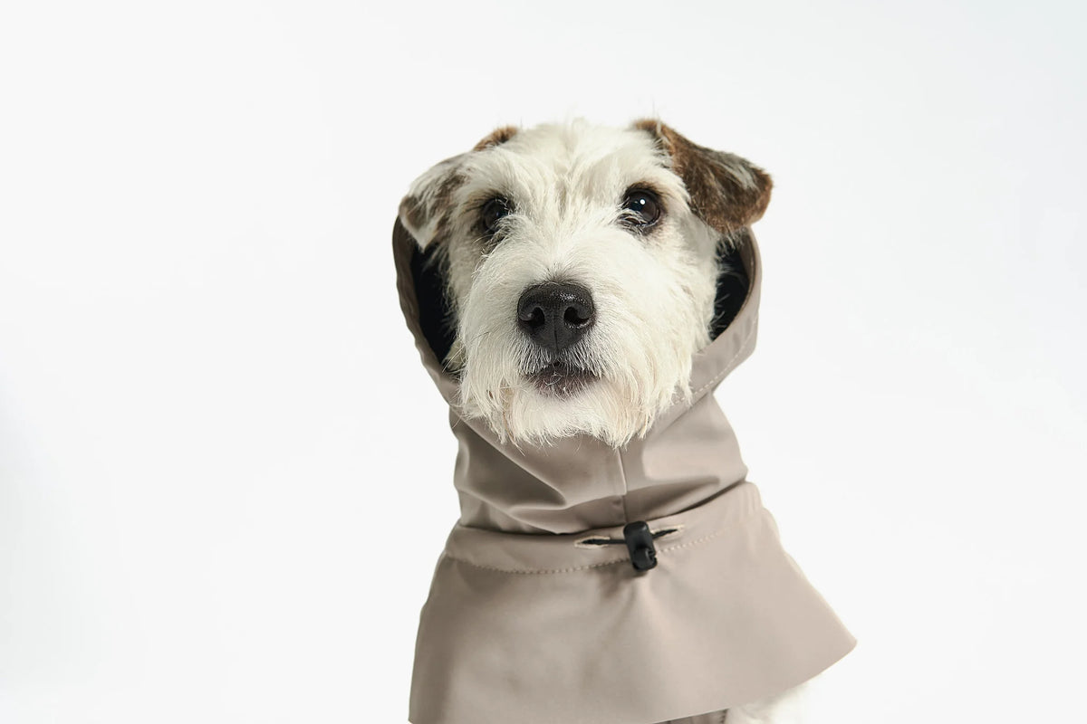 Dog Raincoat