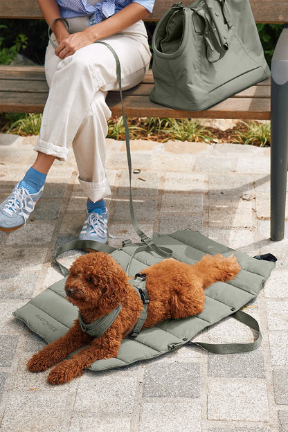 Strada Travel Dog Bed