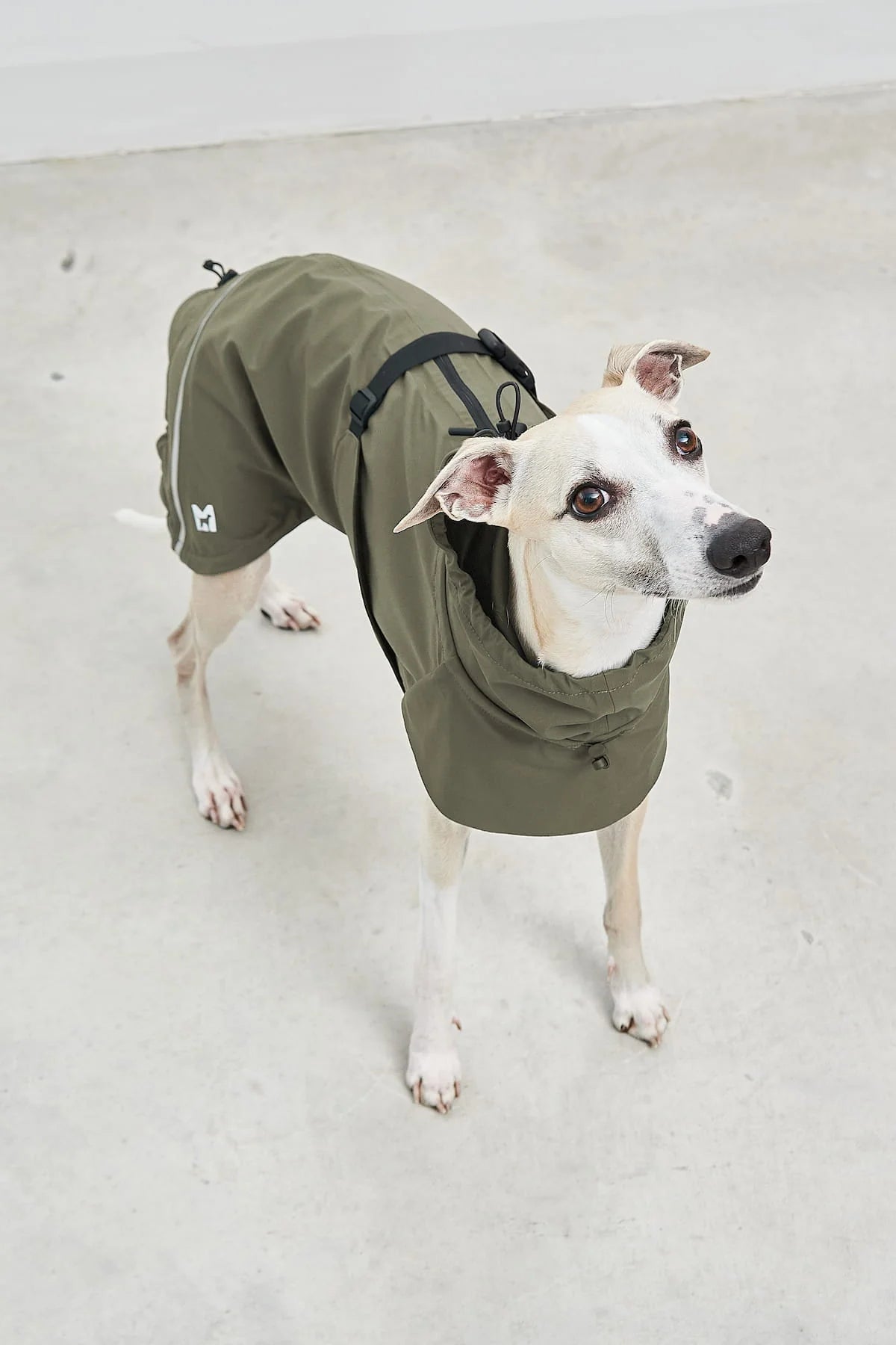 Dog Raincoat