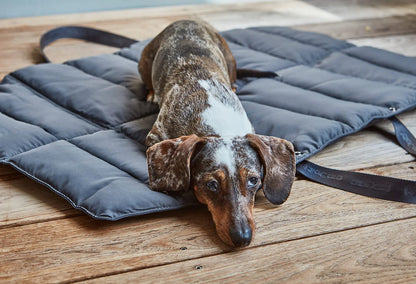 Strada Travel Dog Bed